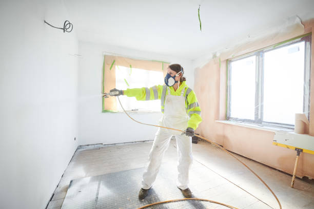 Best Black Mold Removal  in Pine Lawn, MO