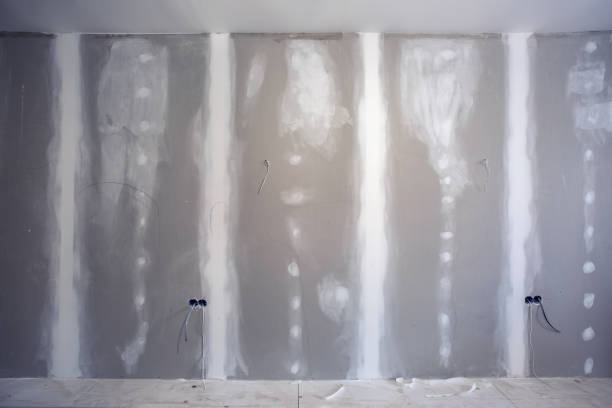 Reliable Pine Lawn, MO Mold Removal Solutions